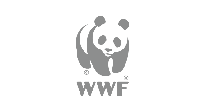 world wildlife fund